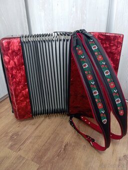 Delícia Carmen XIV.4hlas-hohner hlásky - 8