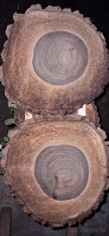 Orechové priečne rezy čerstvé - 8