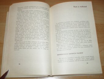 Rez a tvarovanie ovocných drevín - 8