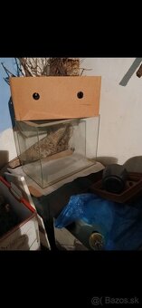 Voľne Terária + AquaTerárium - 8