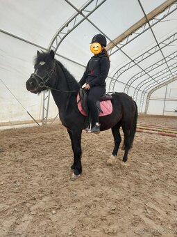 Pony Valach - 8