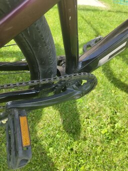 CTM Dirtking 2021 - 8