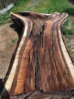 Orechove fosne,  hrúbka 84mm - 8