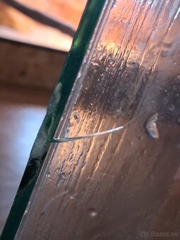 Pagekony riasnaté - 8