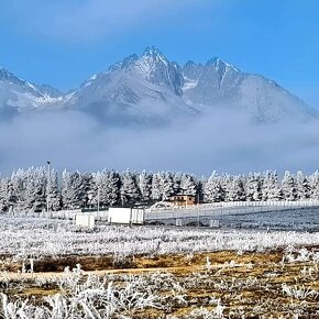 Stavebny pozemok pri lese Vysoke Tatry - 8
