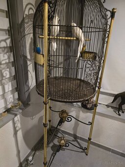 Vintage železná kráľovsky zdobená vtáčia klietka na stojane - 8