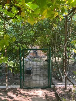 S Nami sa Vám to Oplotí - Ploty a Kovovýroba Sedlák - 8