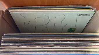 rôzne platne CZ, SK, DE - 8