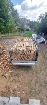 Výroba a predaj palivového dreva - 8