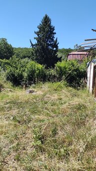 ZÁHRADA V KAVEČANOCH S ROZOSTAVANOU CHATOU - 8