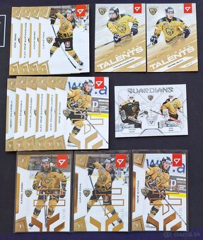 SHL 2024/25 - 8