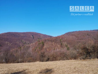 Pekná chata aj s pozemkom v obci Drietoma o výmere 250m2. - 8
