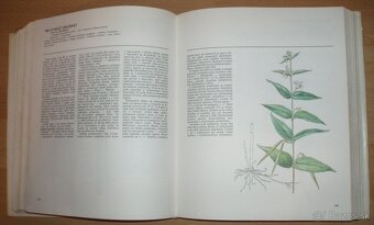 Atlas Liečivých rastlín a lesných plodov - 8
