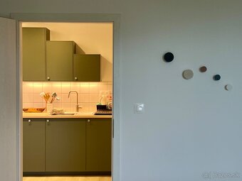 Nový 55 m² byt s 13 m² terasou, garážou a pivnicou – Rendez - 8