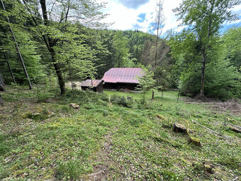 Výrazne znížená cena, chata v lese na predaj Nemecká - 8