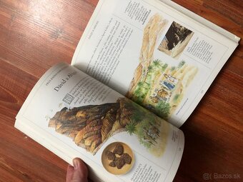 Kniha (Ilustrovaná Biblia) - 8