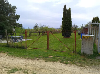 zahrada - 8