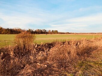 Veľký Pozemok 45 172 m² pri Malých Levároch - 8