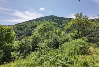 Predaj, Pozemok/Záhrada (RE01021334) - 8