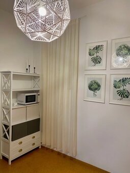 Na Prenájom 2-izbový byt Bratislava-Staré Mesto - 8