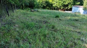 PREDAJ - POZEMOK NA SAMOTE DOLNÝ MILOCHOV OKRES POVAŽSKÁ BYS - 8
