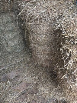 Predám balíkovane seno - 8