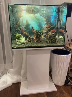 Zariadené akvárium 75l - 8