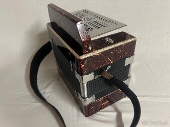 HELIGONKA  KEBRDLE - 8