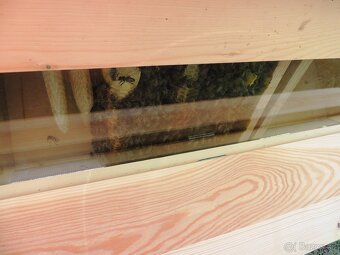 Včelie úle-Ležan B 24. - 8