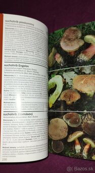 1000 slovenských a českých húb - 8