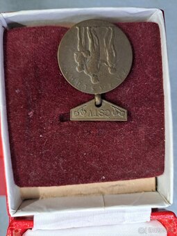 Pametné medaile, odznaky atd - 8