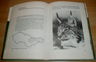 Atlas zvěře - 8