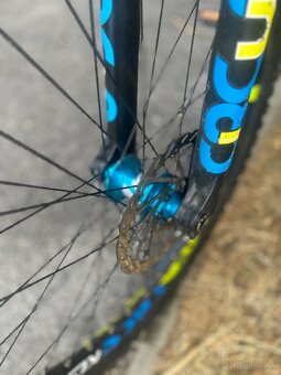 Kellys whip 50 - 8