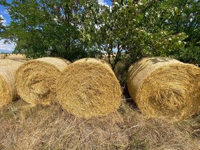Slama na predaj - 8