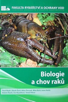 Mačky, psy, zvieratá, chov - 8