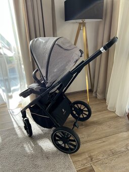 Cavoe Axo - 8