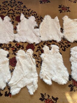 Predalm tieto kožuchy - 8