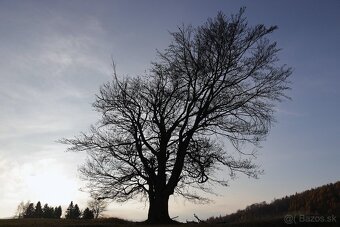 Canon EF 28mm f/1.8 USM - 8