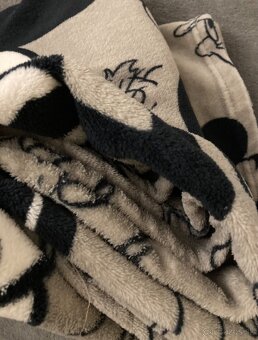 Veľká Deka Mickey - 8