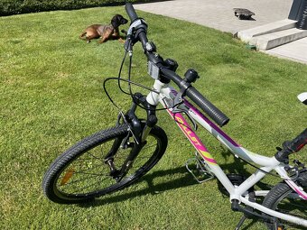 Detsky bicykel Amulet Superlite 24 - 8