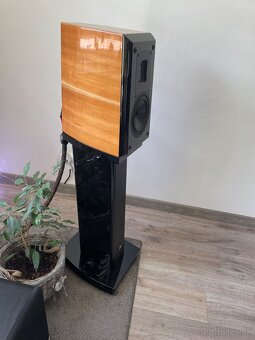 Aurum Cantus V2M - 8
