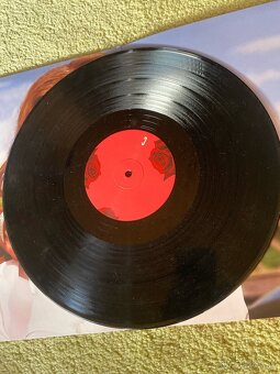 Lana Del Rey LP-Born to die - 8