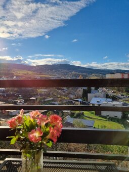 Na predaj veľký 3 izbový byt s dvoma loggiami na Moyzesovej - 8