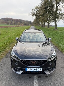 Cupra Formentor Vz 2.0tsi 310k - 8
