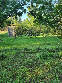 Vidiecky dom s výnimočnou záhradou v obci Méra - 8