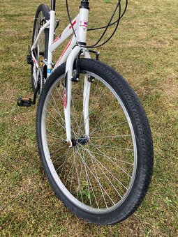 Olpran Mercury 29” - 8