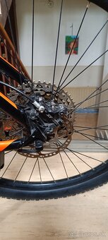 Scott - 8