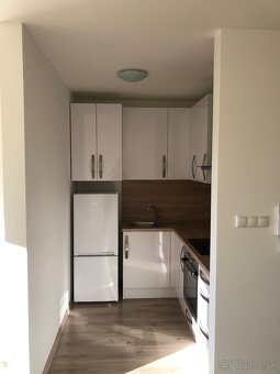 Prenájom 1 izbovy byt - 8