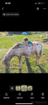 PÁR MINI PONÍKOV - 8