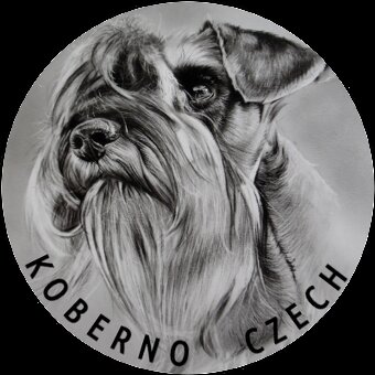 Bradáč malý korenie a sol - 8